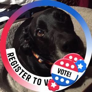 Meet your Posher, Terry